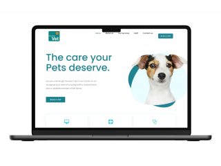 Town Vet